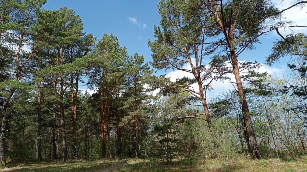 House, Garden & Sauna. Free Parking. Train Stop-200 M. Sea-1 Km. Jūrkalne Exteriör bild